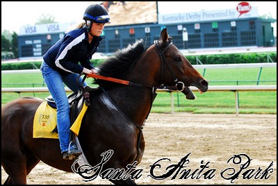 //santa-anita.gportal.hu/portal/santa-anita/image/gallery/1246921218_85.jpg