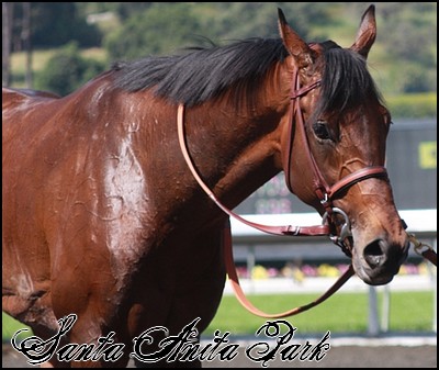 //santa-anita.gportal.hu/portal/santa-anita/image/gallery/1246921234_63.jpg