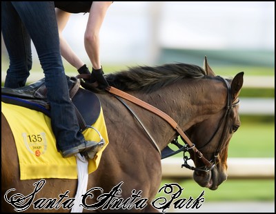 //santa-anita.gportal.hu/portal/santa-anita/image/gallery/1246921251_50.jpg