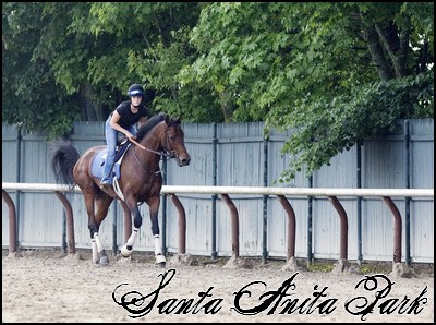 //santa-anita.gportal.hu/portal/santa-anita/image/gallery/1246921333_48.jpg