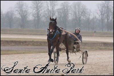 //santa-anita.gportal.hu/portal/santa-anita/image/gallery/1247961446_24.jpg