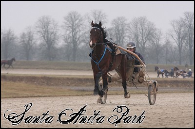 //santa-anita.gportal.hu/portal/santa-anita/image/gallery/1247961449_10.jpg