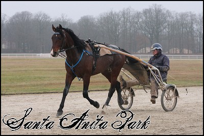 //santa-anita.gportal.hu/portal/santa-anita/image/gallery/1247961452_36.jpg