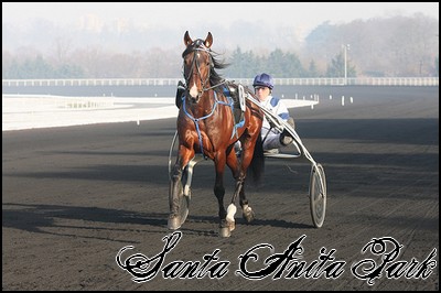 //santa-anita.gportal.hu/portal/santa-anita/image/gallery/1247961489_61.jpg