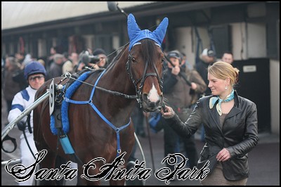 //santa-anita.gportal.hu/portal/santa-anita/image/gallery/1247961492_83.jpg