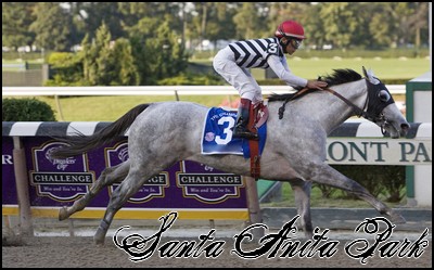 //santa-anita.gportal.hu/portal/santa-anita/image/gallery/1248082310_82.jpg