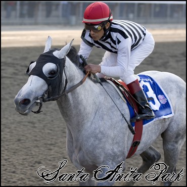 //santa-anita.gportal.hu/portal/santa-anita/image/gallery/1248082321_65.jpg