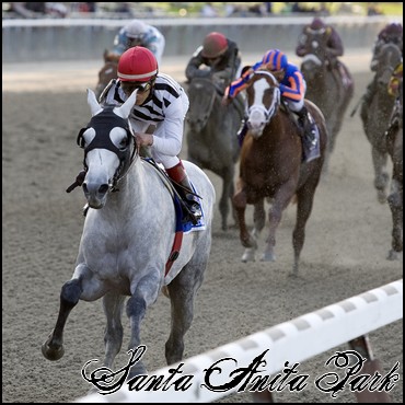 //santa-anita.gportal.hu/portal/santa-anita/image/gallery/1248082328_74.jpg