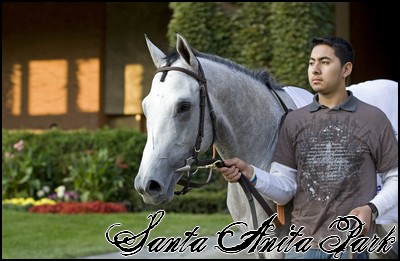 //santa-anita.gportal.hu/portal/santa-anita/image/gallery/1248082333_82.jpg