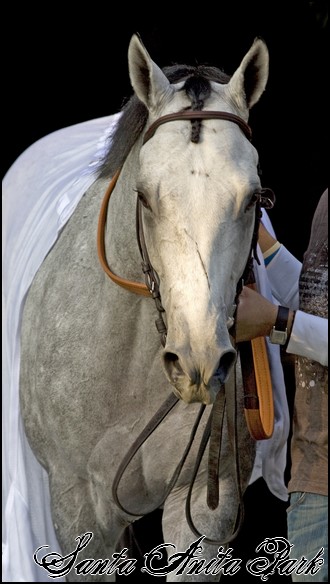 //santa-anita.gportal.hu/portal/santa-anita/image/gallery/1248082345_41.jpg