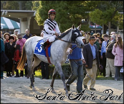 //santa-anita.gportal.hu/portal/santa-anita/image/gallery/1248082359_39.jpg