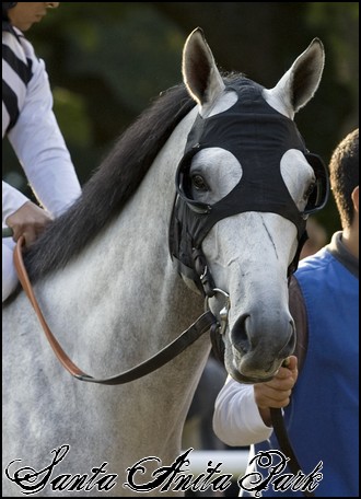 //santa-anita.gportal.hu/portal/santa-anita/image/gallery/1248082364_60.jpg