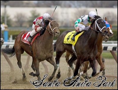 //santa-anita.gportal.hu/portal/santa-anita/image/gallery/1248083089_06.jpg