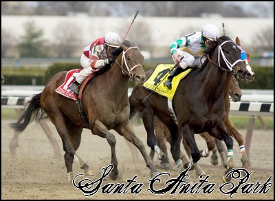 //santa-anita.gportal.hu/portal/santa-anita/image/gallery/1248083106_62.jpg