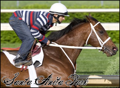 //santa-anita.gportal.hu/portal/santa-anita/image/gallery/1248083112_57.jpg