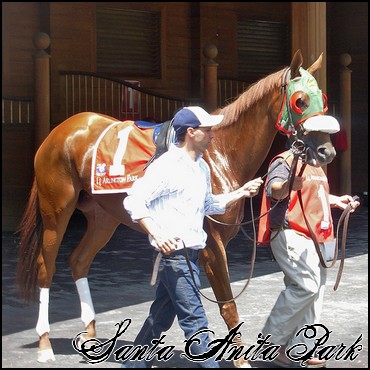 //santa-anita.gportal.hu/portal/santa-anita/image/gallery/1248083513_80.jpg