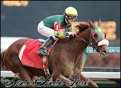 //santa-anita.gportal.hu/portal/santa-anita/image/gallery/1248083520_93.jpg