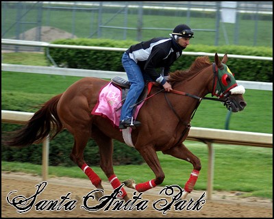 //santa-anita.gportal.hu/portal/santa-anita/image/gallery/1248083524_73.jpg