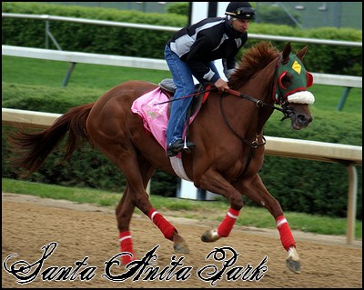 //santa-anita.gportal.hu/portal/santa-anita/image/gallery/1248083529_97.jpg