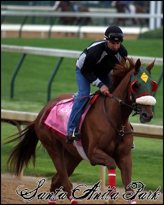 //santa-anita.gportal.hu/portal/santa-anita/image/gallery/1248083532_44.jpg