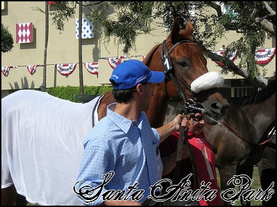 //santa-anita.gportal.hu/portal/santa-anita/image/gallery/1248083537_67.jpg
