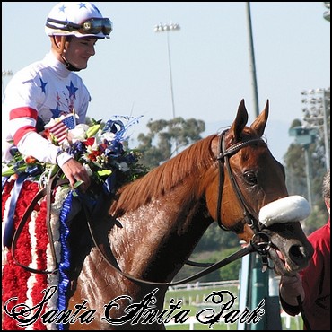 //santa-anita.gportal.hu/portal/santa-anita/image/gallery/1248083542_97.jpg