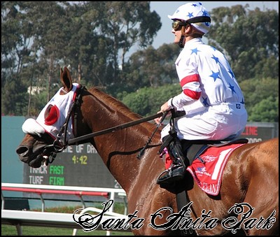 //santa-anita.gportal.hu/portal/santa-anita/image/gallery/1248083552_43.jpg