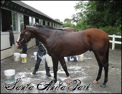 //santa-anita.gportal.hu/portal/santa-anita/image/gallery/1248114125_31.jpg