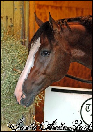 //santa-anita.gportal.hu/portal/santa-anita/image/gallery/1248114133_73.jpg