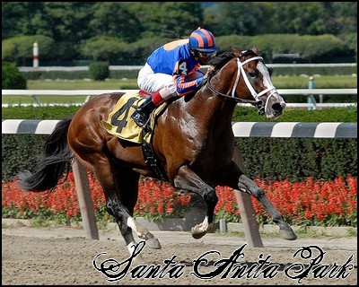 //santa-anita.gportal.hu/portal/santa-anita/image/gallery/1248114147_86.jpg