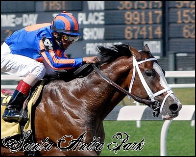 //santa-anita.gportal.hu/portal/santa-anita/image/gallery/1248114153_49.jpg