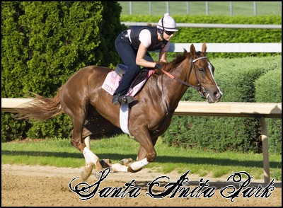 //santa-anita.gportal.hu/portal/santa-anita/image/gallery/1248114297_15.jpg