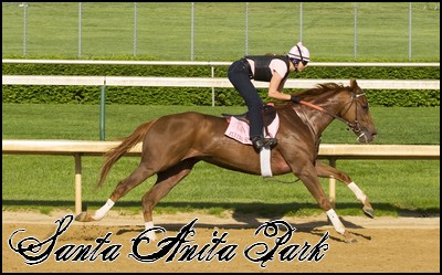 //santa-anita.gportal.hu/portal/santa-anita/image/gallery/1248114303_00.jpg