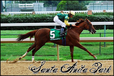 //santa-anita.gportal.hu/portal/santa-anita/image/gallery/1249291413_18.jpg