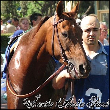 //santa-anita.gportal.hu/portal/santa-anita/image/gallery/1249291422_92.jpg