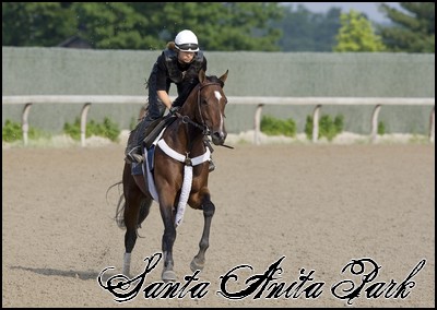 //santa-anita.gportal.hu/portal/santa-anita/image/gallery/1253972892_71.jpg