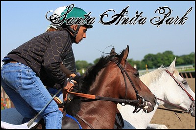 //santa-anita.gportal.hu/portal/santa-anita/image/gallery/1253972916_95.jpg