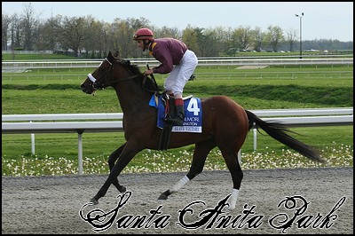 //santa-anita.gportal.hu/portal/santa-anita/image/gallery/1253972921_31.jpg