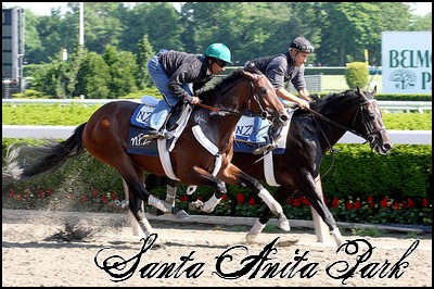 //santa-anita.gportal.hu/portal/santa-anita/image/gallery/1253972936_69.jpg