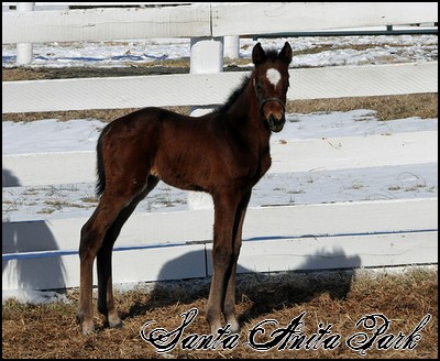 //santa-anita.gportal.hu/portal/santa-anita/image/gallery/1255165027_58.jpg