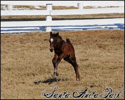 //santa-anita.gportal.hu/portal/santa-anita/image/gallery/1255165038_19.jpg