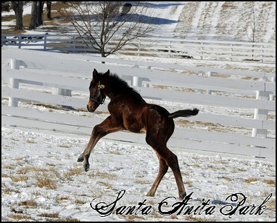 //santa-anita.gportal.hu/portal/santa-anita/image/gallery/1255165044_68.jpg