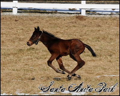 //santa-anita.gportal.hu/portal/santa-anita/image/gallery/1255165050_07.jpg