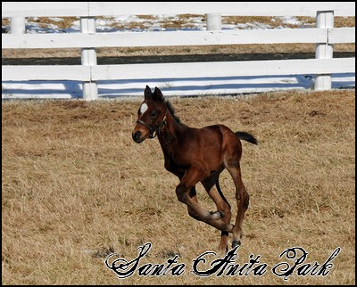 //santa-anita.gportal.hu/portal/santa-anita/image/gallery/1255165072_94.jpg