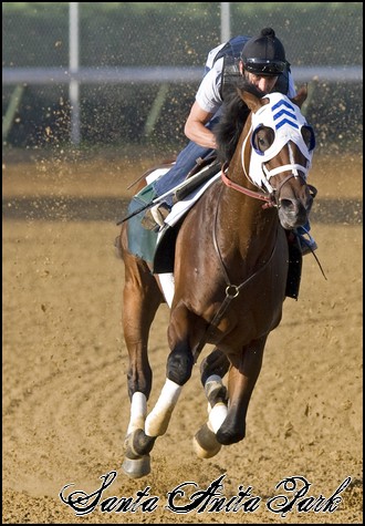 //santa-anita.gportal.hu/portal/santa-anita/image/gallery/1258130952_70.jpg