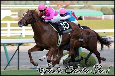 //santa-anita.gportal.hu/portal/santa-anita/image/gallery/1258133758_18.jpg