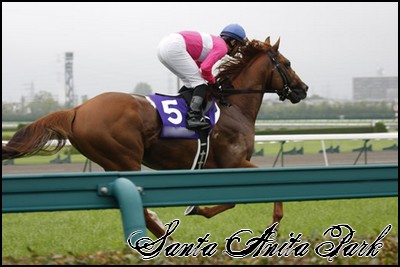 //santa-anita.gportal.hu/portal/santa-anita/image/gallery/1258133758_31.jpg