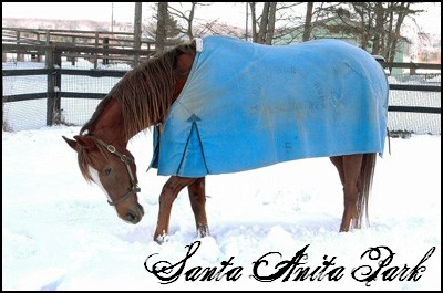 //santa-anita.gportal.hu/portal/santa-anita/image/gallery/1258133769_85.jpg