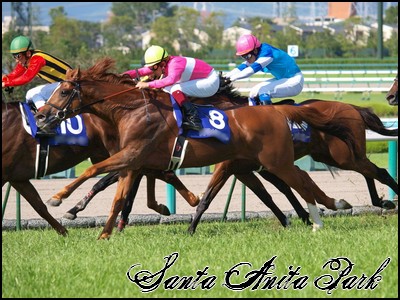 //santa-anita.gportal.hu/portal/santa-anita/image/gallery/1258133789_07.jpg