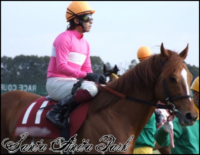 //santa-anita.gportal.hu/portal/santa-anita/image/gallery/1258133791_21.jpg